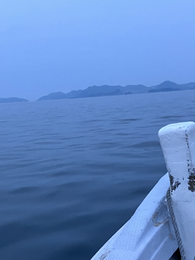 西島の一本松付近 西島の一本松付近