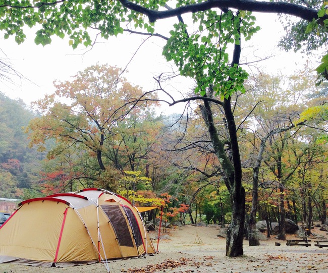 トルテュライトで紅葉狩りキャンプ in 不動尊公園キャンプ場