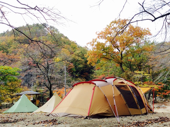 トルテュライトで紅葉狩りキャンプ in 不動尊公園キャンプ場 その2 トルテュライトで紅葉狩りキャンプ in 不動尊公園キャンプ場 その2