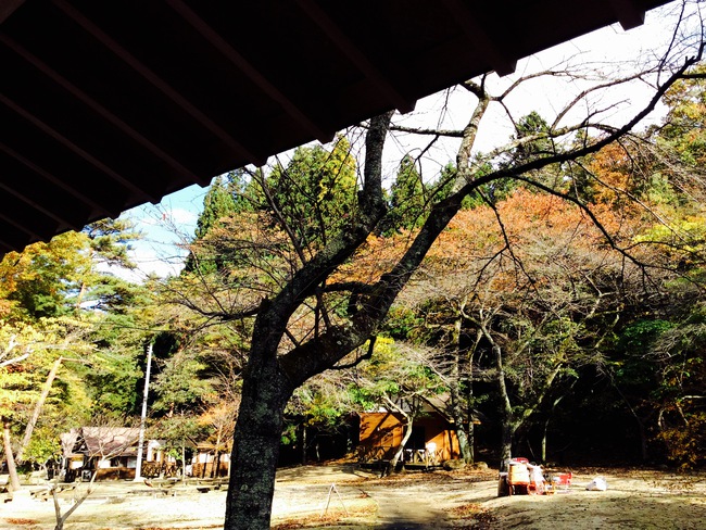 トルテュライトで紅葉狩りキャンプ in 不動尊公園キャンプ場 その2 トルテュライトで紅葉狩りキャンプ in 不動尊公園キャンプ場 その2
