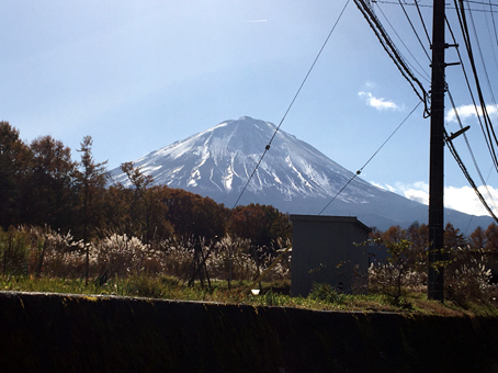 MSRテントに助けられた 今シーズンの締めキャン MSRテントに助けられた 今シーズンの締めキャン
