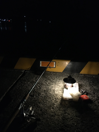 三浦半島で夜釣り&車中泊 三浦半島で夜釣り&車中泊
