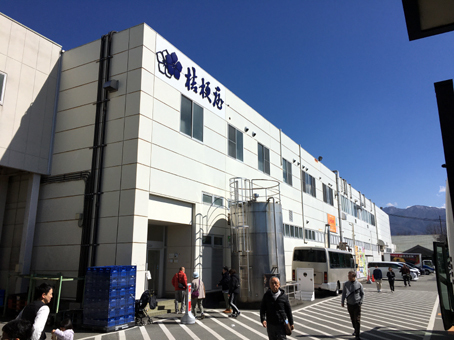 ふもとっぱら で ダイヤモンド富士♪ ふもとっぱら で ダイヤモンド富士♪