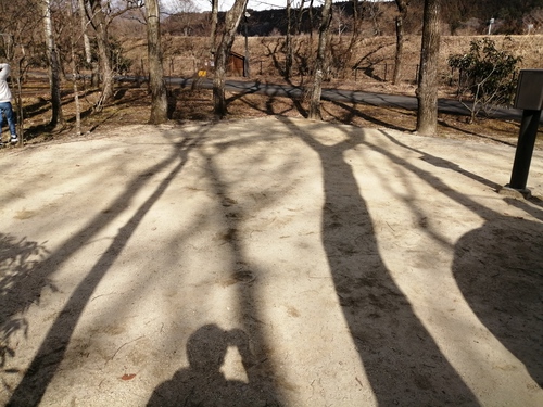 アクティビティに世界文化遺産も!凄いぞ!日光だいや川公園! アクティビティに世界文化遺産も!凄いぞ!日光だいや川公園!