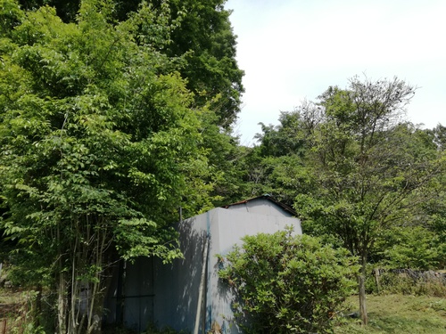 揺られる場所を求めて 揺られる場所を求めて