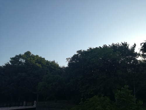5月30日の記事 5月30日の記事