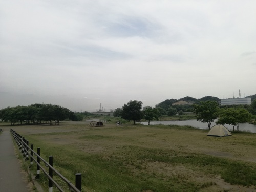 揺られる場所を求めて 揺られる場所を求めて