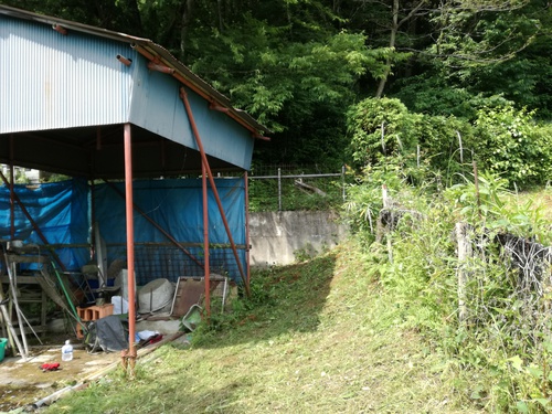揺られる場所を求めて 揺られる場所を求めて