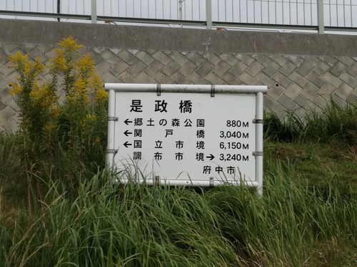 ハンモックとメスティンと東ドイツと ハンモックとメスティンと東ドイツと