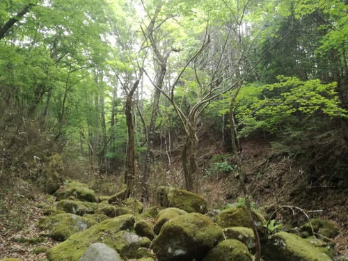 ソロキャンプのすすめ ソロキャンプのすすめ