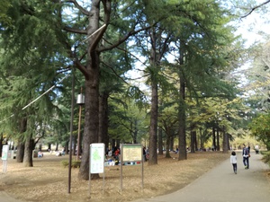 父子で鶏の丸焼き♪(公園BBQ) 父子で鶏の丸焼き♪(公園BBQ)