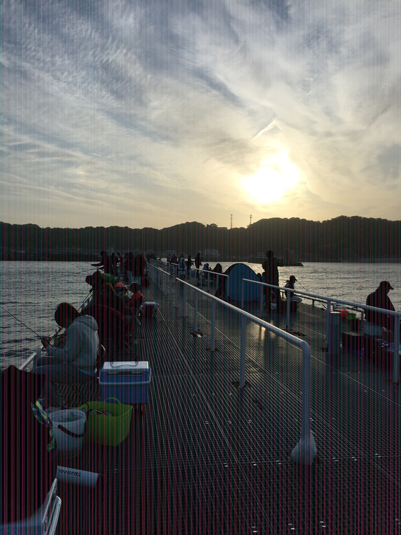 豊浜釣り桟橋へ 豊浜釣り桟橋へ