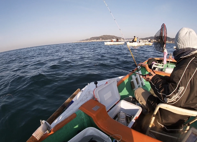 豊浜でアジ釣り もうすぐ釣り桟橋もイワシ祭りか? 豊浜でアジ釣り もうすぐ釣り桟橋もイワシ祭りか?