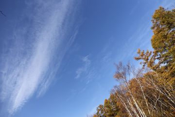 2015年11月の青空