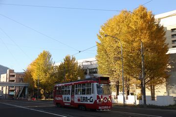 秋の札幌市電風景