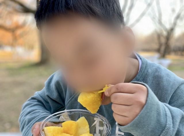 2019年12月 坂田ヶ池総合公園キャンプ場(子供キャンプ)① 2019年12月 坂田ヶ池総合公園キャンプ場(子供キャンプ)①