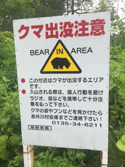 またまた いつもの場所へ。 またまた いつもの場所へ。