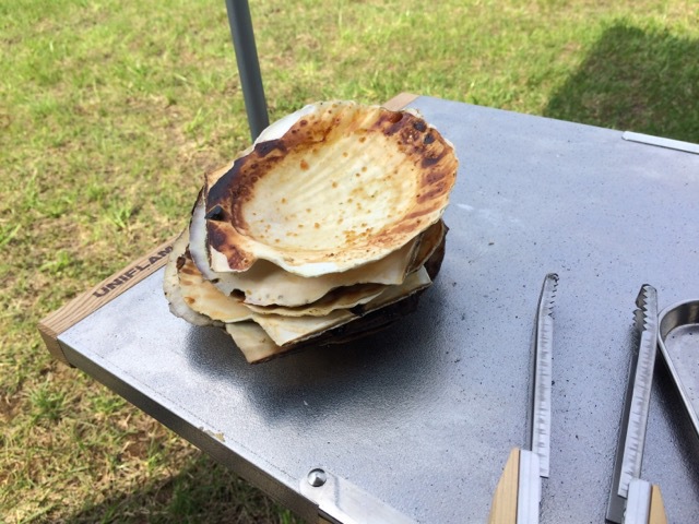 炎幕 初張り 日帰りソロキャンプ。 炎幕 初張り 日帰りソロキャンプ。