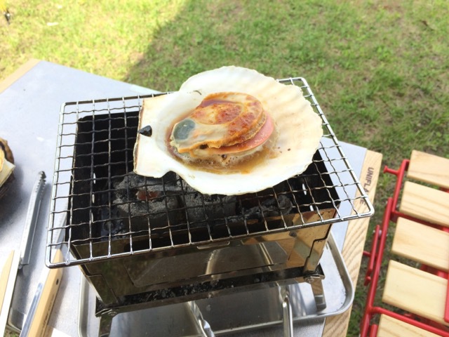 炎幕 初張り 日帰りソロキャンプ。 炎幕 初張り 日帰りソロキャンプ。