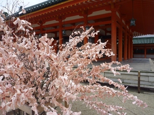 京都の桜・・・