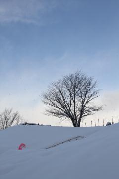 タテ位置雪景色