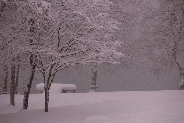 お正月はライジングフィールド白馬で雪中キャンプ