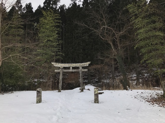 大倉山ハイク