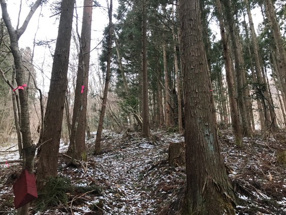 大倉山ハイク