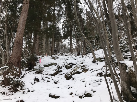 大倉山ハイク