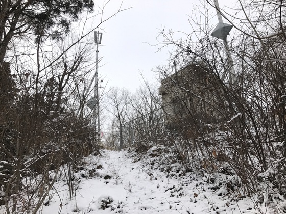 大倉山ハイク