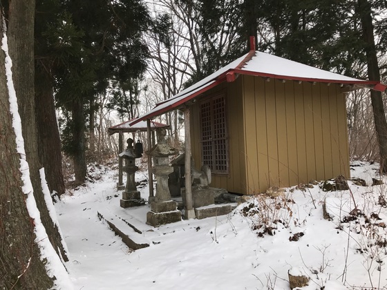 大倉山ハイク