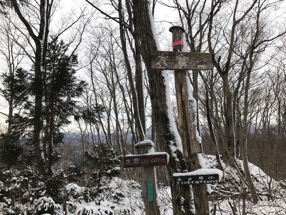 大倉山ハイク 大倉山ハイク