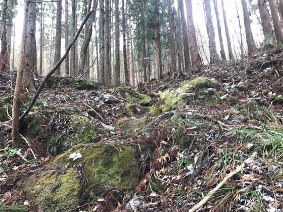 大倉山ハイク