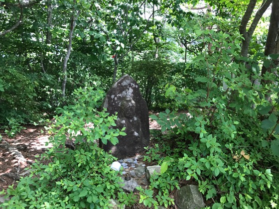 大倉山、蜂倉山ハイク
