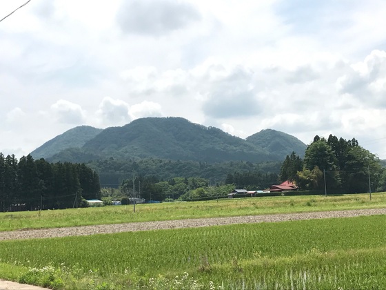 大倉山、蜂倉山ハイク