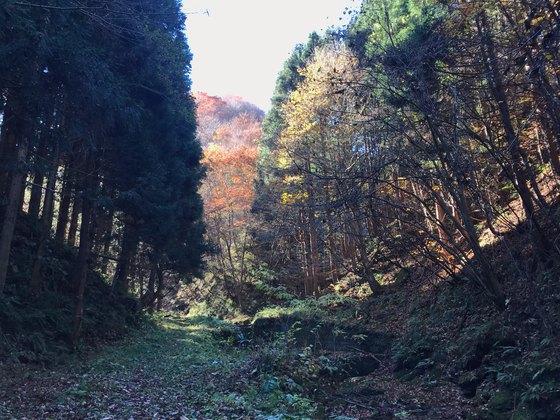 オボコンベ山ハイク