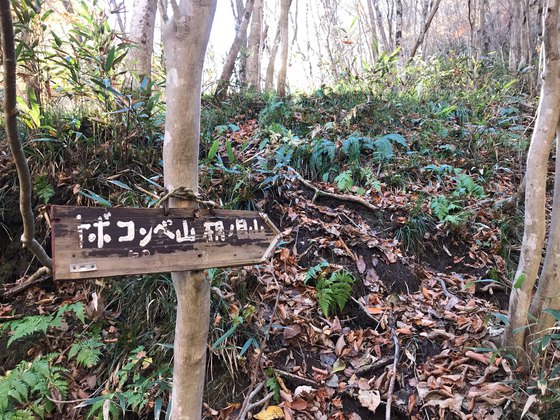 オボコンベ山ハイク