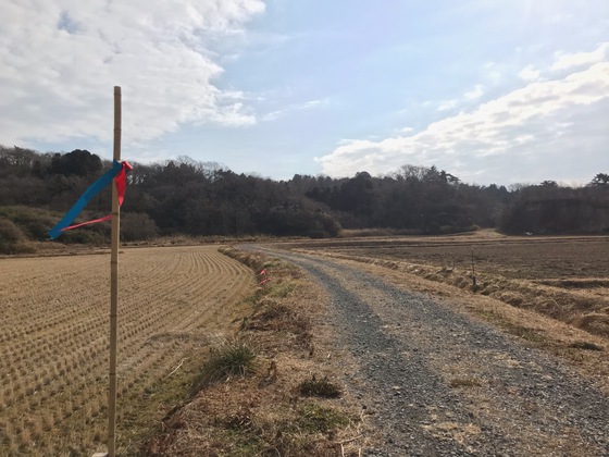 大高森 宮城オルレ奥松島コース