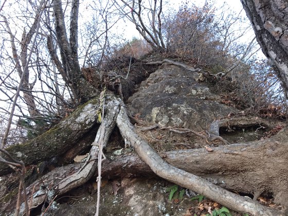 オボコンベ山ハイク