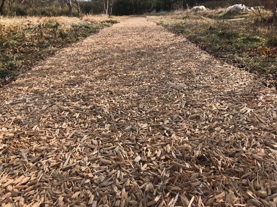 大高森 宮城オルレ奥松島コース