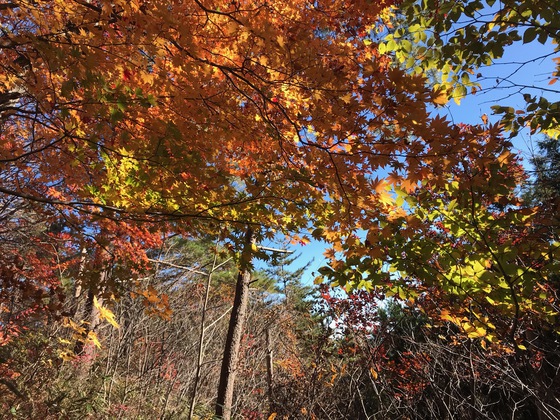 オボコンベ山ハイク