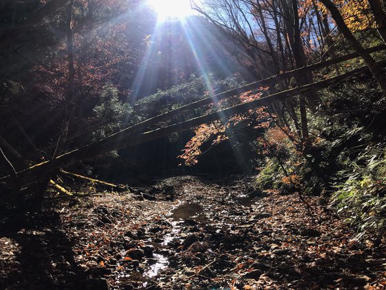 オボコンベ山ハイク
