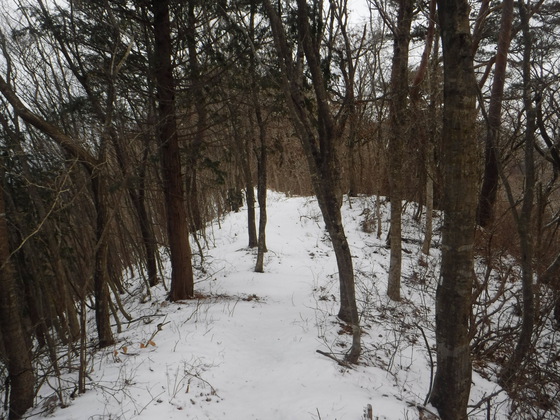 翁倉山hike 翁倉山hike