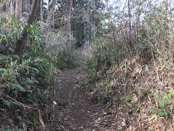 番ヶ森山hike 番ヶ森山hike