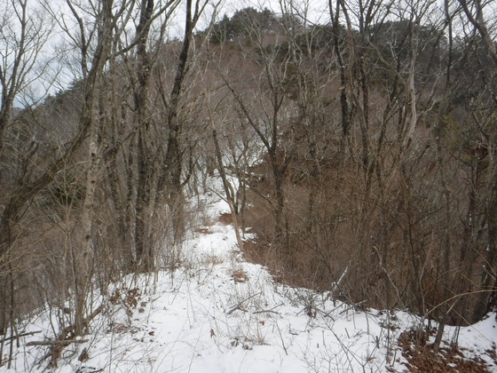 翁倉山hike 翁倉山hike