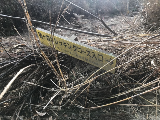 番ヶ森山hike 番ヶ森山hike