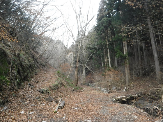 翁倉山hike 翁倉山hike