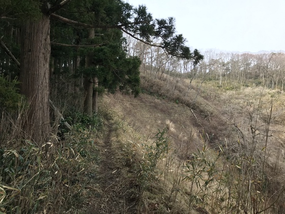 番ヶ森山hike 番ヶ森山hike