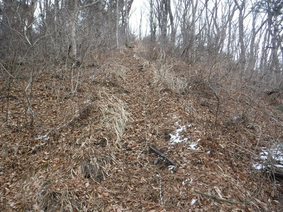 翁倉山hike 翁倉山hike