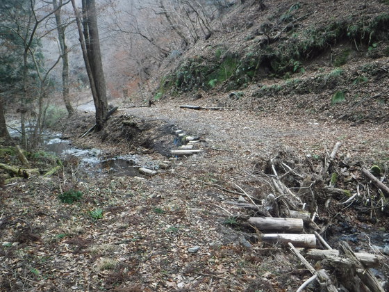 翁倉山hike 翁倉山hike